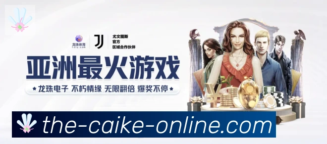 未来规划